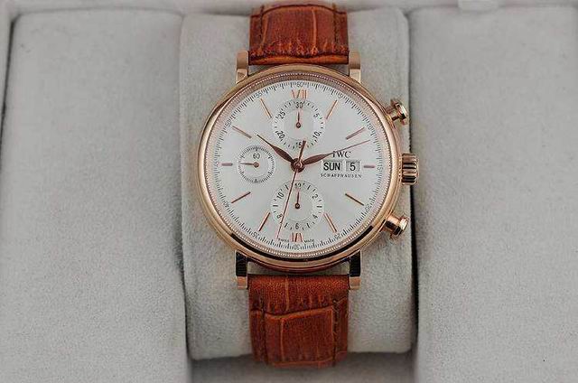 IWC watch man-296
